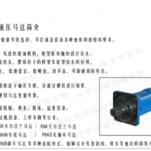 BM6車(chē)輪系列馬達(dá)